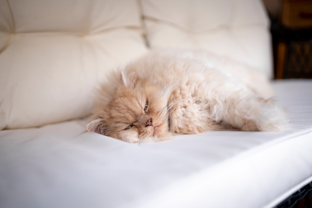 Photo sleeping position