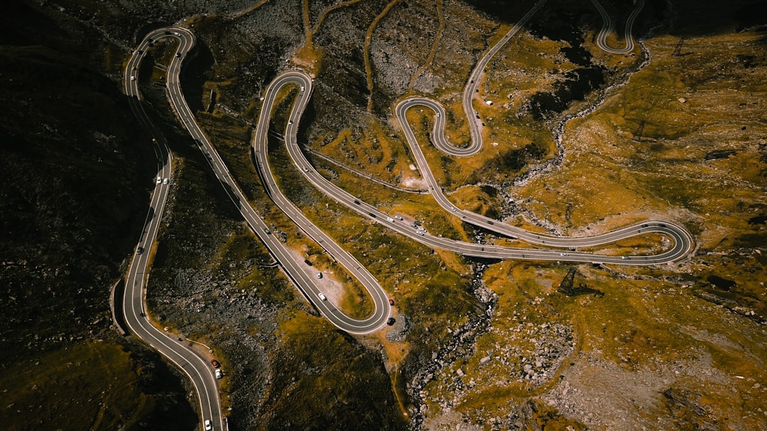 Photo dream interpretation snakes