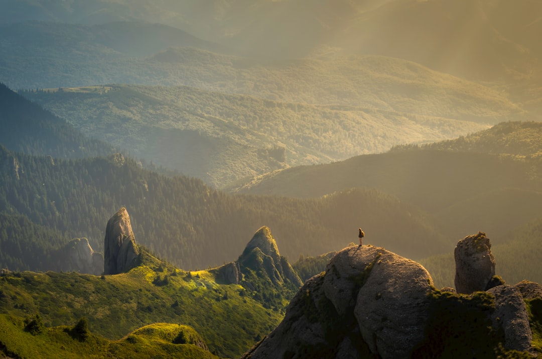 Photo remote work laws
