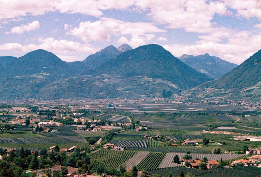 verifici sursele