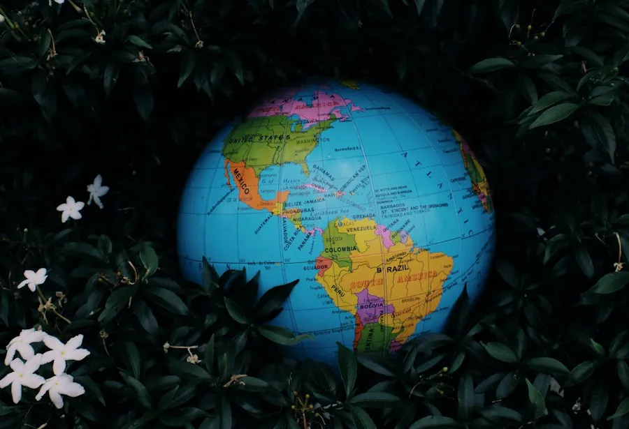 environment knowledge guide