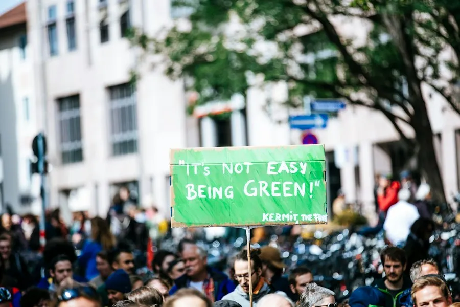 Photo common environmental mistakes